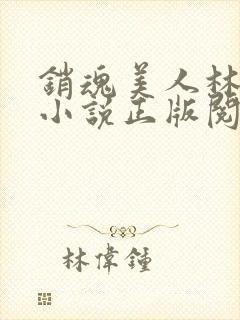 销魂美人林婷婉小说正版阅读