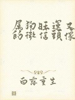 属狗旺运又旺财的微信头像