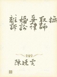 离婚争取抚养权诉讼律师