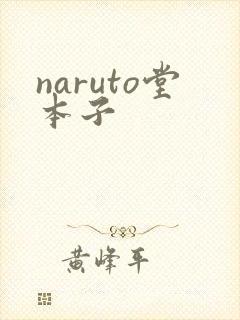 naruto堂本子