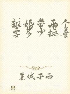 离婚带两个孩子要多少抚养费封面