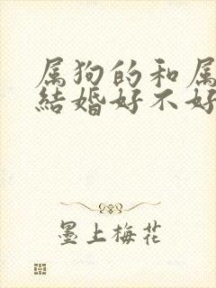 属狗的和属鸡的结婚好不好封面