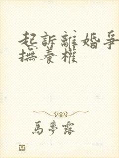 起诉离婚争孩子抚养权