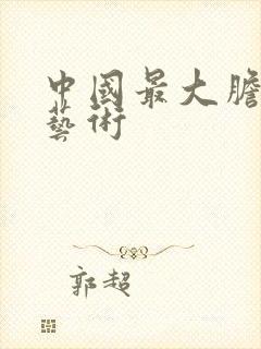 中国最大胆人体艺术