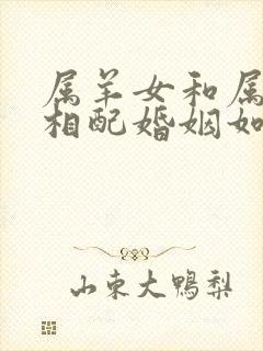 属羊女和属马男相配婚姻如何