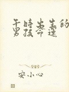 午时出生的属虎男孩命运封面