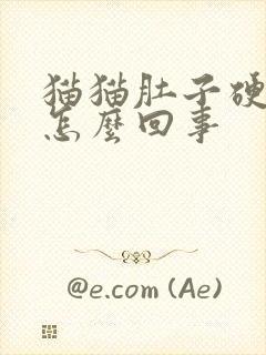 猫猫肚子硬硬的怎么回事