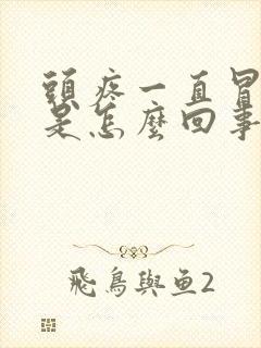 头疼一直冒虚汗是怎么回事封面