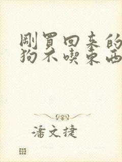 刚买回来的小狗狗不吃东西怎么办