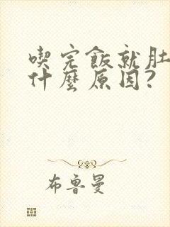 吃完饭就肚子疼什么原因?