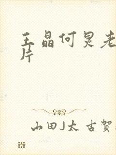 王晶何炅老婆照片封面