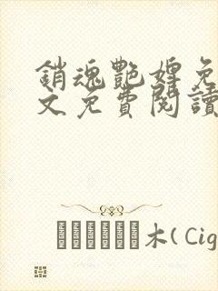 销魂艳婢免费全文免费阅读