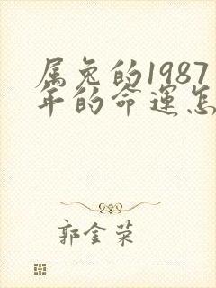 属兔的1987年的命运怎么样
