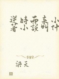 逆时而来小说原著小说叫什么名字