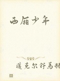 西厢少年