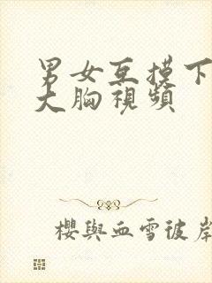 男女互摸下面揉大胸视频