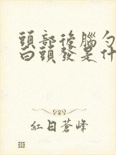 头部后脑勺左侧白头发是什么情况