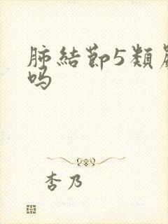 肺结节5类严重吗