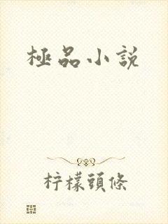 极品小说