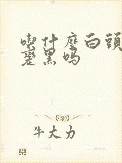 吃什么白头发能变黑吗