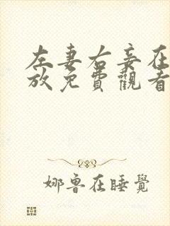 左妻右妾在线播放免费观看电视剧下