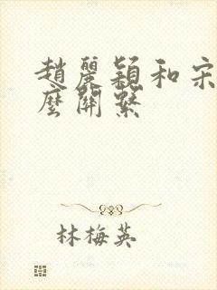 赵丽颖和宋轶什么关系