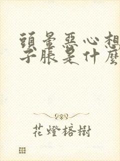 头晕恶心想吐肚子胀是什么原因造成的