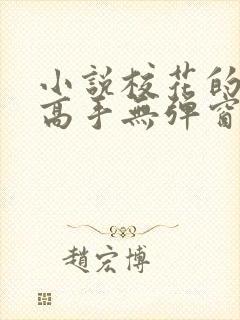 小说校花的贴身高手无弹窗无广告封面