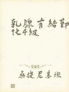 乳腺有结节伴钙化4级