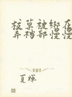 校草被绑在床玩弄裆部慢慢脱裤子小说封面
