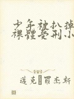 少年被扒掉裤子裸体受刑小说