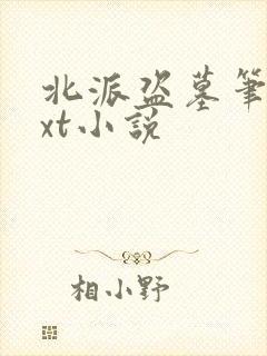 北派盗墓笔记txt小说封面