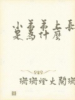 小弟弟上长肉粒是为什么封面