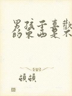 男孩子喜欢女生的东西是不是异性癖