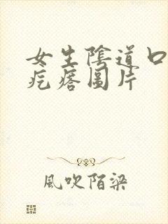 女生阴道口有小疙瘩图片