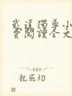 武道独尊小说免费阅读全文