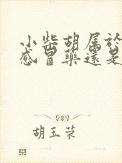 小柴胡属于风寒感冒药还是风热感冒药