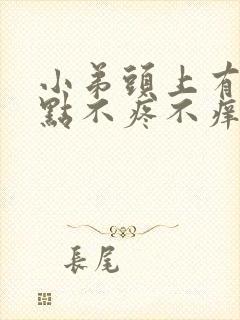 小弟头上有红点点不疼不痒