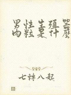 男性生殖器上长肉粒是什么