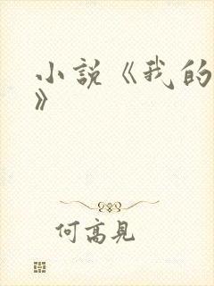 小说《我的岳母》