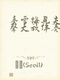 秦雪梅见夫灵悲声大放伴奏带