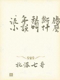 流年愁断肠原著小说叫什么名字