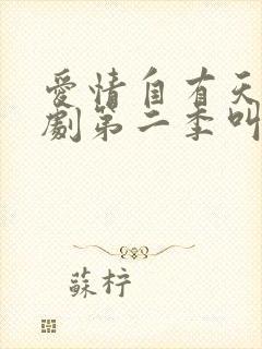 爱情自有天意短剧第二季叫什么