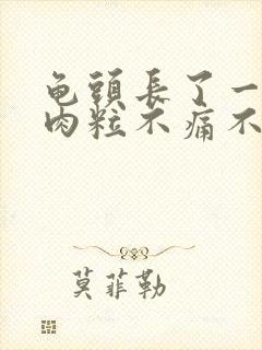 龟头长了一圈小肉粒不痛不痒封面