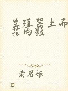 生殖器上面长菜花肉粒