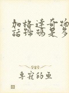 加格达奇物流电话号码是多少