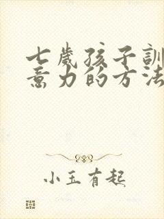 七岁孩子训练注意力的方法封面