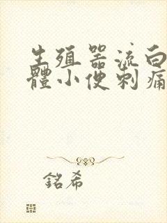 生殖器流白色液体小便刺痛是怎么回事