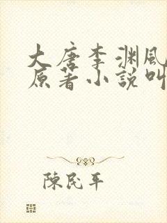 大唐李渊风流录原著小说叫什么名字封面