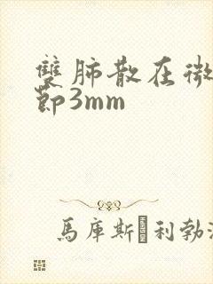 双肺散在微小结节3mm